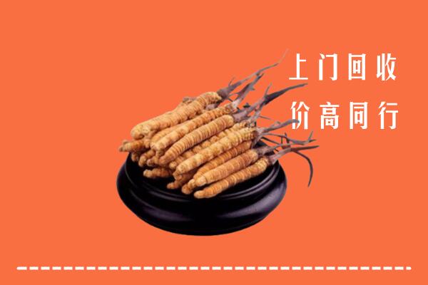 高价求购：忠县回收散虫草