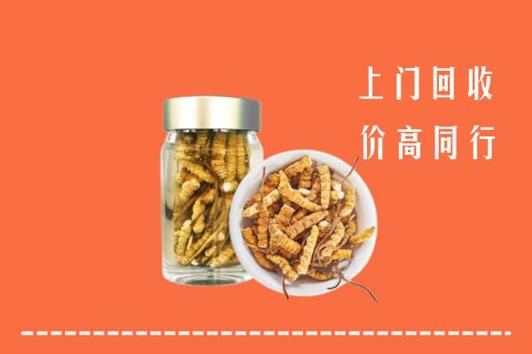 忠县高价回收冬虫夏草